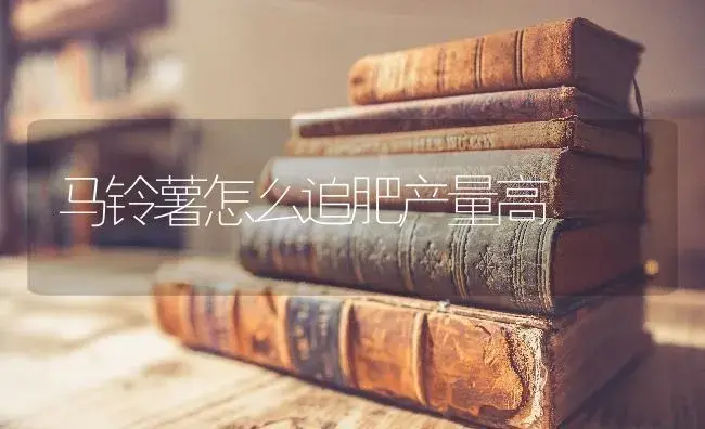 马铃薯怎么追肥产量高 | 蔬菜种植