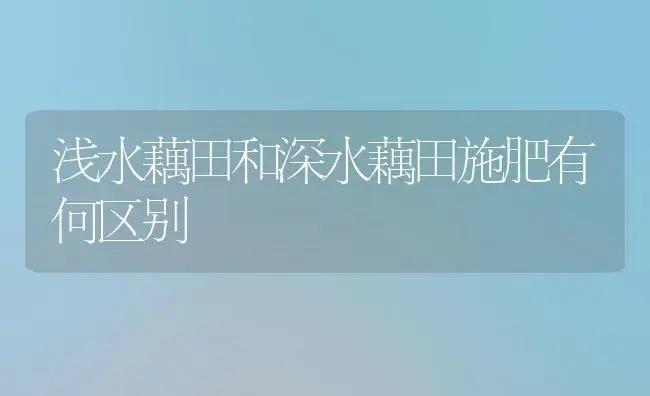 浅水藕田和深水藕田施肥有何区别 | 植物肥料