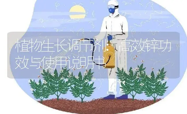 植物生长调节剂：高效锌 | 适用防治对象及农作物使用方法说明书 | 植物农药