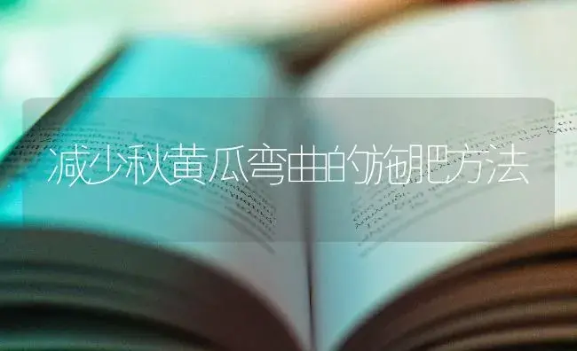 减少秋黄瓜弯曲的施肥方法 | 蔬菜种植