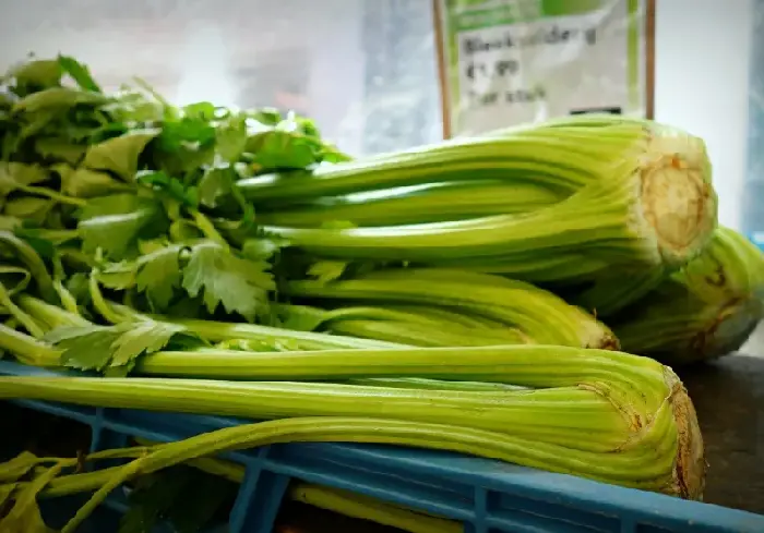 芹菜的高效施肥技术！