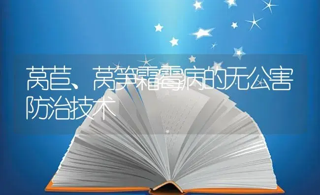 莴苣、莴笋霜霉病的无公害防治技术 | 植物病虫害