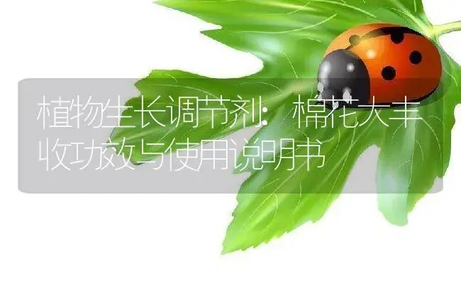 植物生长调节剂：棉花大丰收 | 适用防治对象及农作物使用方法说明书 | 植物农药