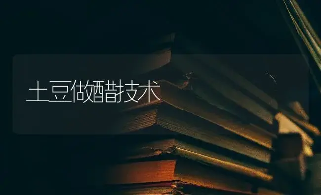 土豆做醋技术 | 蔬菜种植