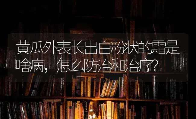 黄瓜外表长出白粉状的霜是啥病，怎么防治和治疗？ | 蔬菜种植