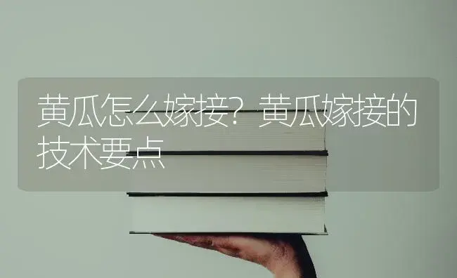 黄瓜怎么嫁接？黄瓜嫁接的技术要点 | 蔬菜种植