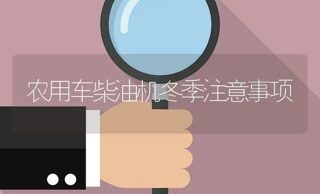 农用车柴油机冬季注意事项 | 农资农机