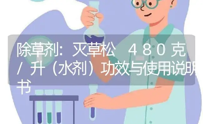 除草剂：灭草松 480克/升（水剂） | 适用防治对象及农作物使用方法说明书 | 植物农药