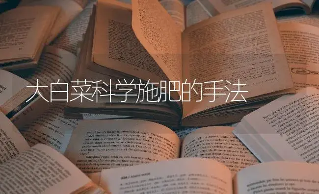 大白菜科学施肥的手法 | 蔬菜种植