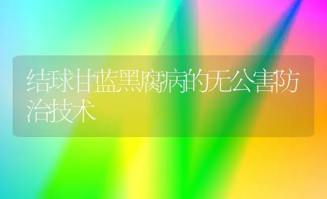 结球甘蓝黑腐病的无公害防治技术 | 植物病虫害