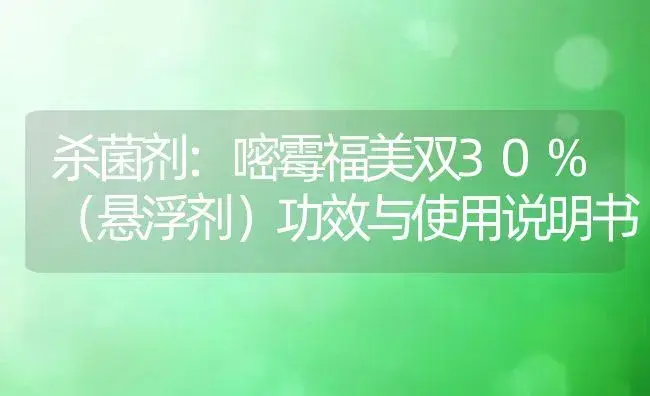 杀菌剂：嘧霉福美双30%（悬浮剂） | 适用防治对象及农作物使用方法说明书 | 植物农药