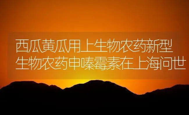 西瓜黄瓜用上生物农药新型生物农药申嗪霉素在上海问世 | 植物农药