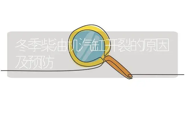 冬季柴油机汽缸开裂的原因及预防 | 农资农机