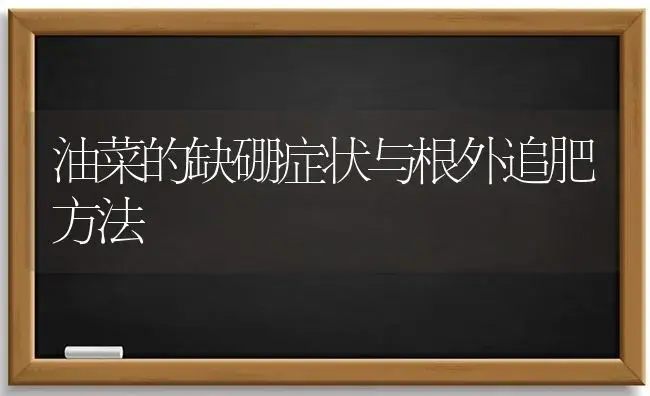 油菜的缺硼症状与根外追肥方法 | 植物肥料