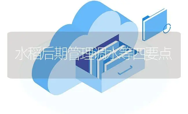 水稻后期管理调水等四要点 | 植物病虫害