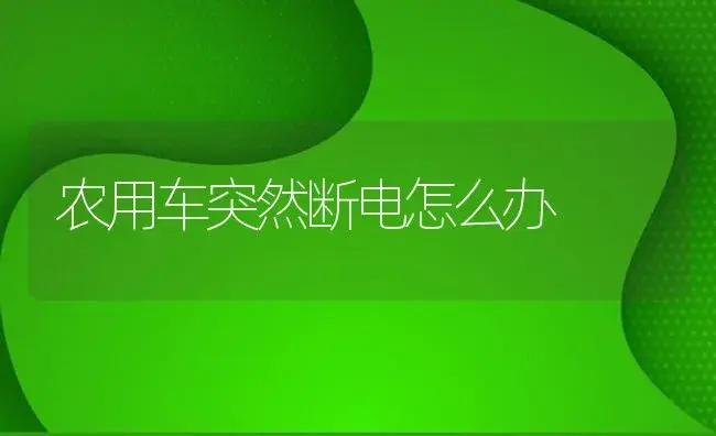 农用车突然断电怎么办 | 农资农机