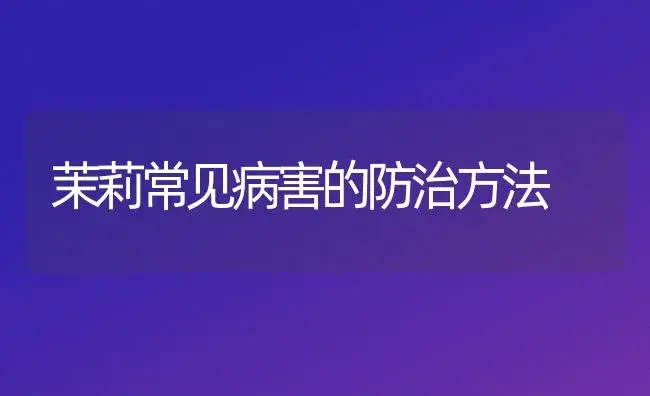 茉莉常见病害的防治方法 | 植物病虫害