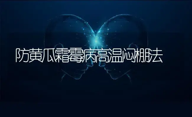 防黄瓜霜霉病高温闷棚法 | 蔬菜种植