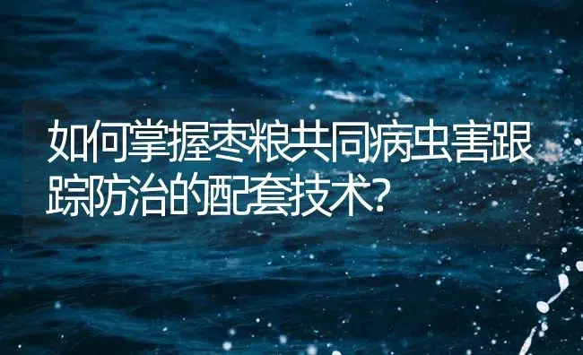 如何掌握枣粮共同病虫害跟踪防治的配套技术？ | 植物病虫害