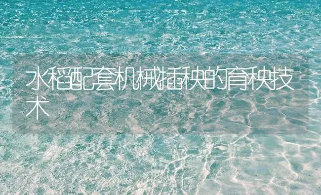 水稻配套机械插秧的育秧技术 | 农资农机
