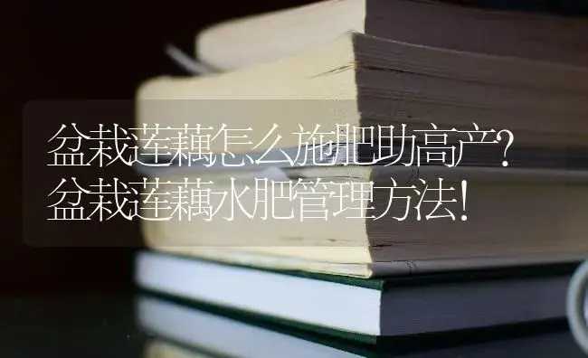 盆栽莲藕怎么施肥助高产？盆栽莲藕水肥管理方法！ | 蔬菜种植