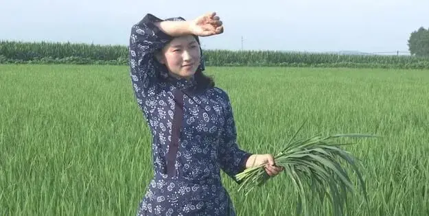 东北女孩蔡雪返乡创业 生财有“稻”