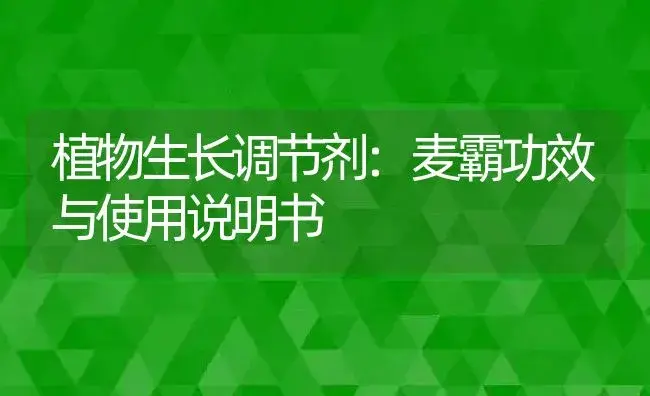 植物生长调节剂：麦霸 | 适用防治对象及农作物使用方法说明书 | 植物农药