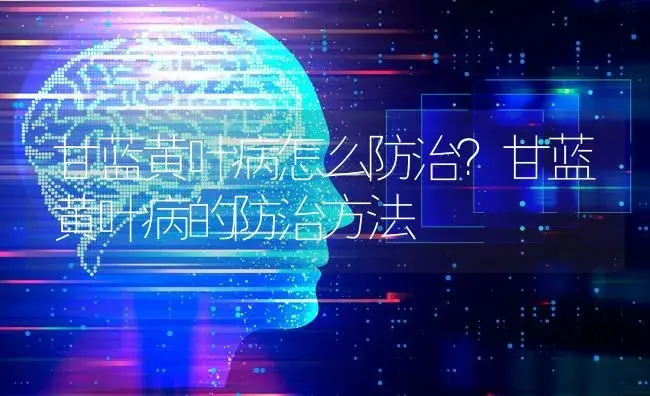 甘蓝黄叶病怎么防治？甘蓝黄叶病的防治方法 | 蔬菜种植