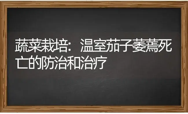 蔬菜栽培:温室茄子萎蔫死亡的防治和治疗 | 蔬菜种植