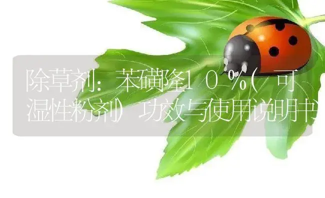 除草剂：苯磺隆10%(可湿性粉剂) | 适用防治对象及农作物使用方法说明书 | 植物农药