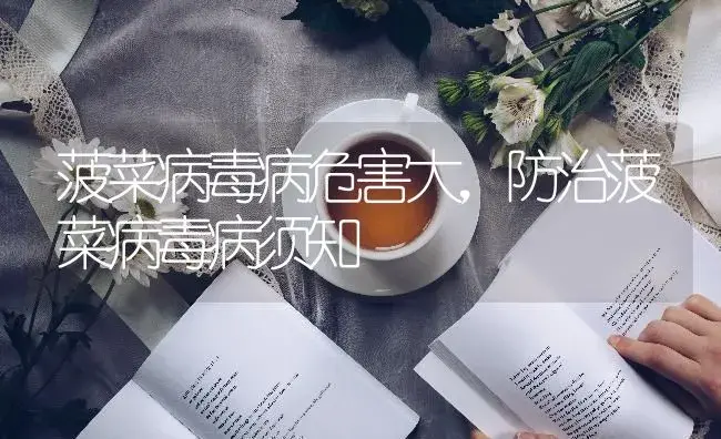 菠菜病毒病危害大，防治菠菜病毒病须知 | 蔬菜种植