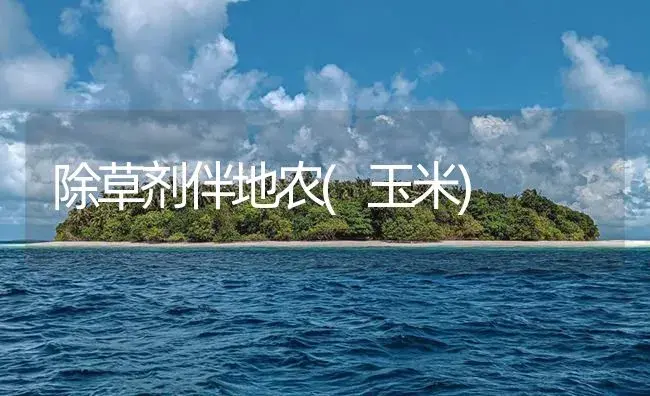 除草剂伴地农(玉米) | 植物病虫害