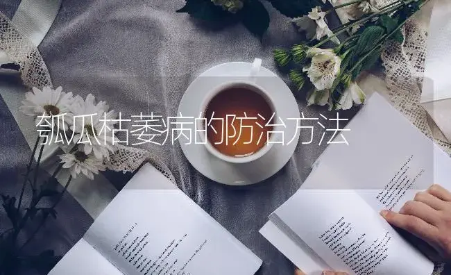 瓠瓜枯萎病的防治方法 | 蔬菜种植