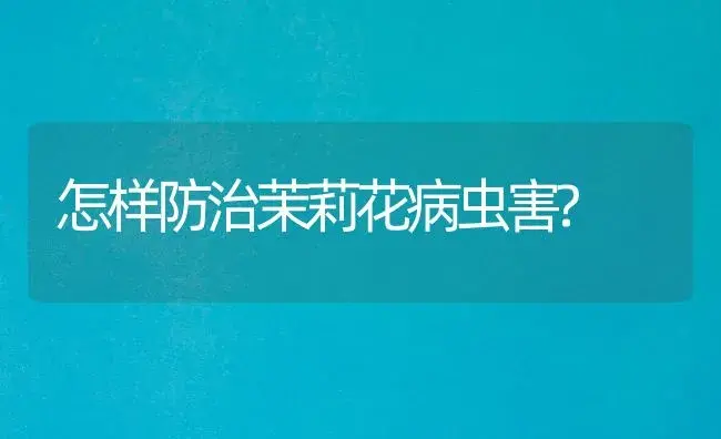 怎样防治茉莉花病虫害? | 植物病虫害