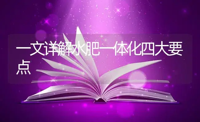 一文详解水肥一体化四大要点 | 蔬菜种植