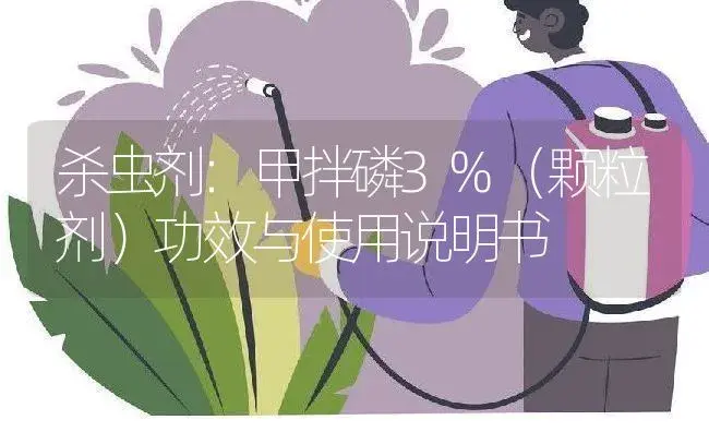 杀虫剂：甲拌磷3%（颗粒剂） | 适用防治对象及农作物使用方法说明书 | 植物农药