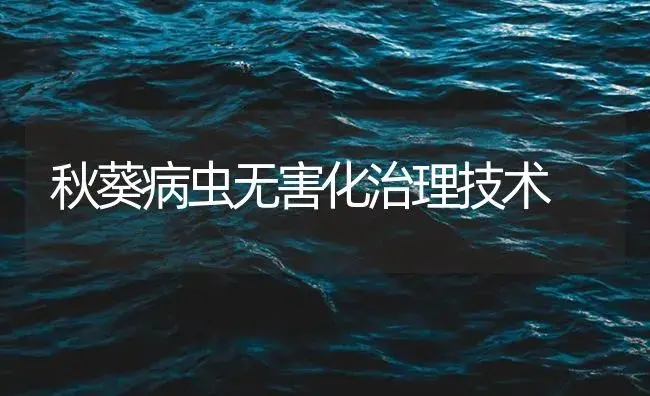 秋葵病虫无害化治理技术 | 植物病虫害