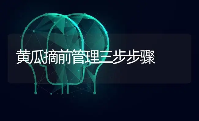 黄瓜摘前管理三步步骤 | 蔬菜种植