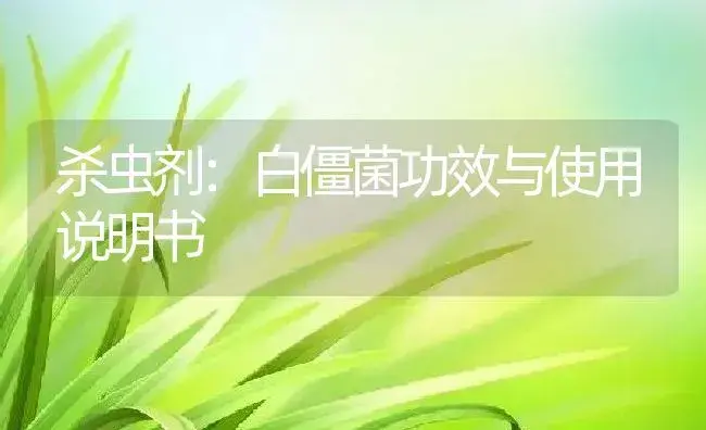 杀虫剂：白僵菌 | 适用防治对象及农作物使用方法说明书 | 植物农药