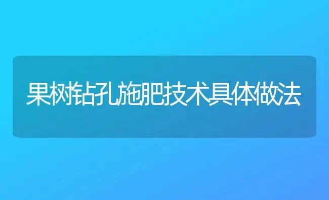 果树钻孔施肥技术具体做法 | 植物肥料