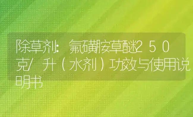 除草剂：氟磺胺草醚250克/升（水剂） | 适用防治对象及农作物使用方法说明书 | 植物农药