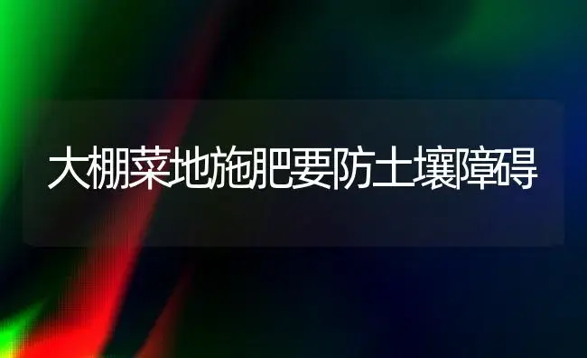 大棚菜地施肥要防土壤障碍 | 植物肥料