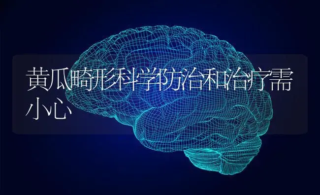 黄瓜畸形科学防治和治疗需小心 | 蔬菜种植