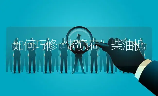 如何巧修“超负荷”柴油机 | 农资农机