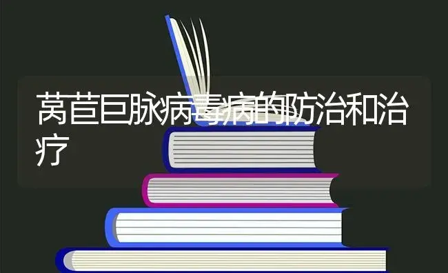 莴苣巨脉病毒病的防治和治疗 | 蔬菜种植