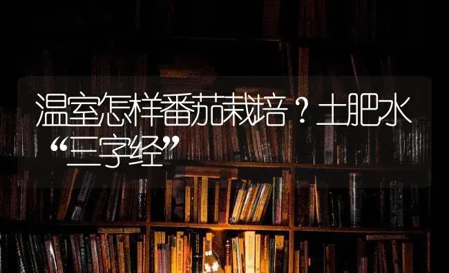 温室怎样番茄栽培？土肥水“三字经” | 蔬菜种植