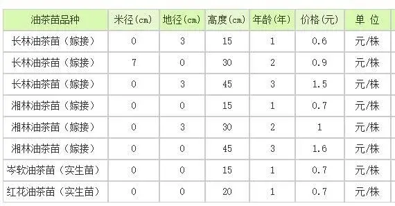 常见油茶品种的树苗批发价格是多少钱一棵？怎么种植？附栽培技术要点