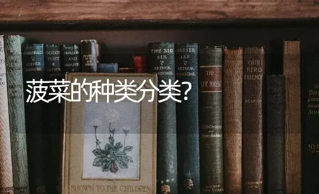 菠菜的种类分类？ | 蔬菜种植