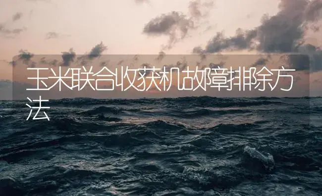 玉米联合收获机故障排除方法 | 农资农机