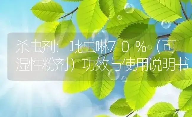 杀虫剂：吡虫啉70%（可湿性粉剂） | 适用防治对象及农作物使用方法说明书 | 植物农药